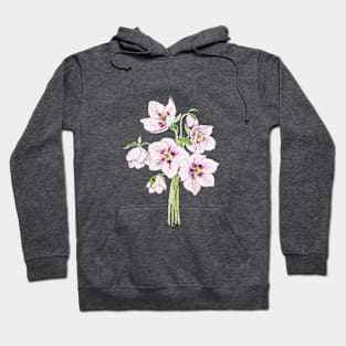 pink hellebores flower watercolor Hoodie